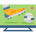 Sports Channels